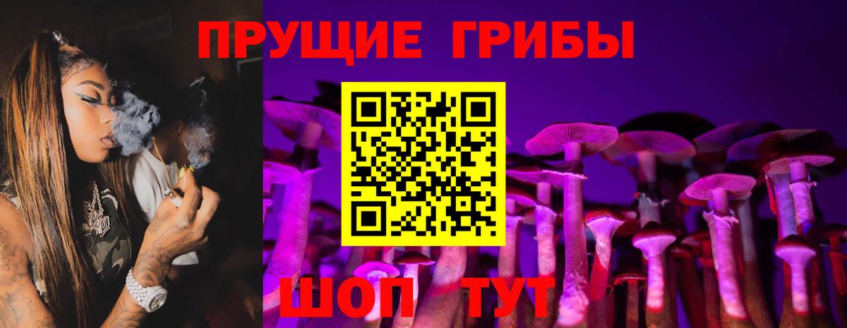 Гусев  Галлюциногенные грибы Psilocybine cubensis  Галлюциногенные грибы Psilocybe  Вход с VPN 