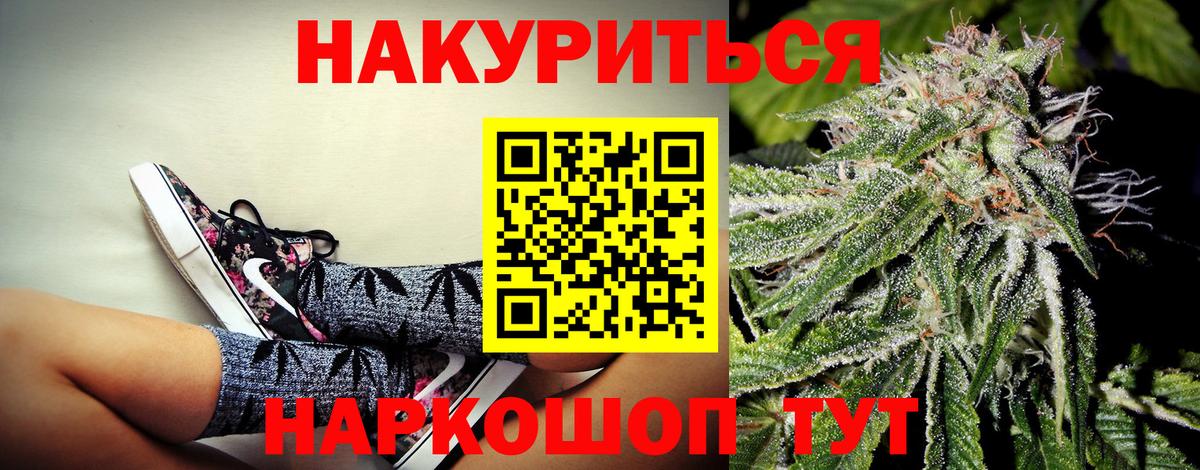 Бошки Шишки план Гусев